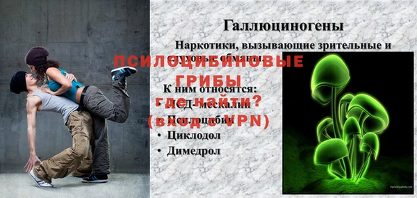 ECSTASY Абаза