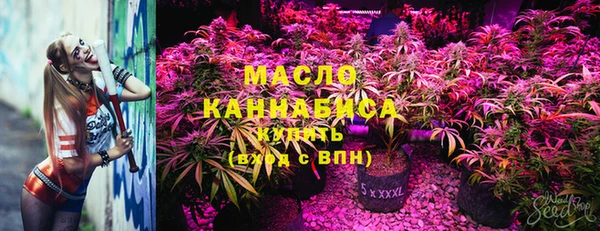 МДПВ Елабуга